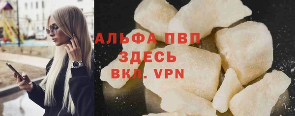 сатива Каменка