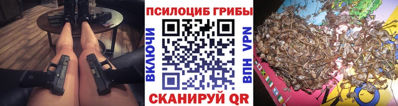 где найти наркотики  Протвино  Псилоцибиновые грибы Psilocybe 
